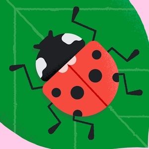 Meet your Posher, Quinn